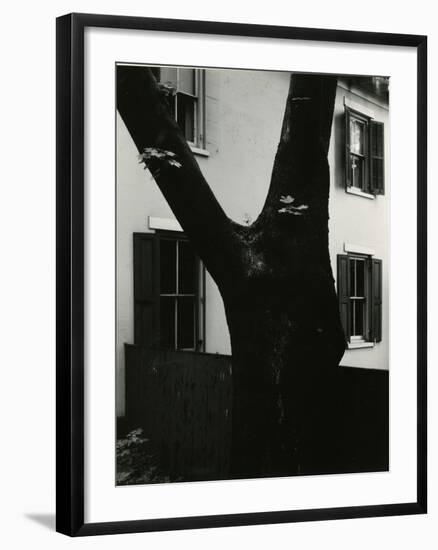 Tree and Building, 1960-Brett Weston-Framed Photographic Print