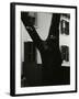 Tree and Building, 1960-Brett Weston-Framed Photographic Print