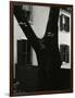 Tree and Building, 1960-Brett Weston-Framed Photographic Print