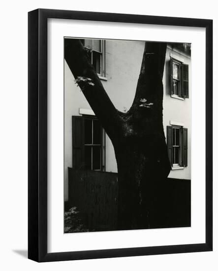 Tree and Building, 1960-Brett Weston-Framed Photographic Print