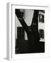 Tree and Building, 1960-Brett Weston-Framed Photographic Print