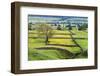 Tree and Buttercup Meadows Near Askrigg at Dusk Wensleydale-Mark Sunderland-Framed Photographic Print
