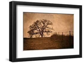 Tree and Fence II-David Winston-Framed Giclee Print
