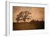 Tree and Fence II-David Winston-Framed Giclee Print