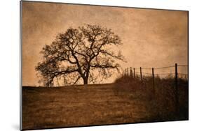 Tree and Fence II-David Winston-Mounted Giclee Print