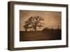 Tree and Fence II-David Lorenz Winston-Framed Art Print