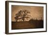 Tree and Fence II-David Lorenz Winston-Framed Art Print