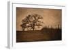 Tree and Fence II-David Lorenz Winston-Framed Art Print