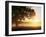 Tree and Morning Fog, Bavaria, Germany, Europe-Jochen Schlenker-Framed Photographic Print