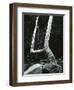 Tree and Rock, 1967-Brett Weston-Framed Premium Photographic Print