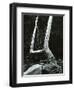 Tree and Rock, 1967-Brett Weston-Framed Premium Photographic Print