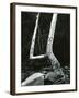 Tree and Rock, 1967-Brett Weston-Framed Premium Photographic Print