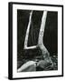 Tree and Rock, 1967-Brett Weston-Framed Premium Photographic Print
