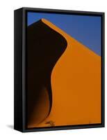 Tree and Sand Dune, Namib Desert-Darrell Gulin-Framed Stretched Canvas