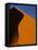 Tree and Sand Dune, Namib Desert-Darrell Gulin-Framed Stretched Canvas