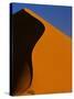 Tree and Sand Dune, Namib Desert-Darrell Gulin-Stretched Canvas