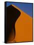 Tree and Sand Dune, Namib Desert-Darrell Gulin-Framed Stretched Canvas