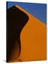 Tree and Sand Dune, Namib Desert-Darrell Gulin-Stretched Canvas