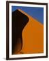 Tree and Sand Dune, Namib Desert-Darrell Gulin-Framed Photographic Print