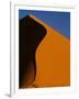 Tree and Sand Dune, Namib Desert-Darrell Gulin-Framed Photographic Print