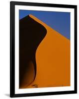 Tree and Sand Dune, Namib Desert-Darrell Gulin-Framed Photographic Print