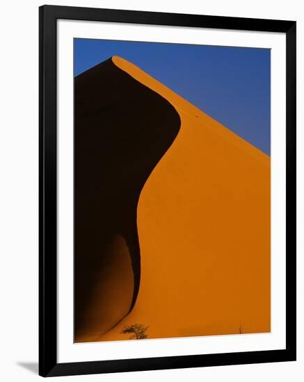 Tree and Sand Dune, Namib Desert-Darrell Gulin-Framed Photographic Print