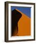 Tree and Sand Dune, Namib Desert-Darrell Gulin-Framed Photographic Print