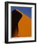 Tree and Sand Dune, Namib Desert-Darrell Gulin-Framed Photographic Print