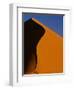 Tree and Sand Dune, Namib Desert-Darrell Gulin-Framed Photographic Print