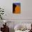 Tree and Sand Dune, Namib Desert-Darrell Gulin-Photographic Print displayed on a wall