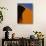 Tree and Sand Dune, Namib Desert-Darrell Gulin-Photographic Print displayed on a wall