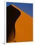 Tree and Sand Dune, Namib Desert-Darrell Gulin-Framed Photographic Print