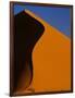 Tree and Sand Dune, Namib Desert-Darrell Gulin-Framed Photographic Print