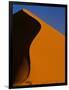 Tree and Sand Dune, Namib Desert-Darrell Gulin-Framed Photographic Print