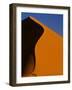 Tree and Sand Dune, Namib Desert-Darrell Gulin-Framed Photographic Print