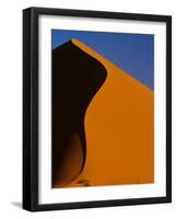 Tree and Sand Dune, Namib Desert-Darrell Gulin-Framed Photographic Print