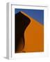 Tree and Sand Dune, Namib Desert-Darrell Gulin-Framed Photographic Print