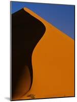 Tree and Sand Dune, Namib Desert-Darrell Gulin-Mounted Photographic Print