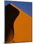 Tree and Sand Dune, Namib Desert-Darrell Gulin-Mounted Photographic Print