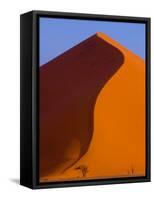 Tree and Soussevlei Sand Dune, Namibia-Joe Restuccia III-Framed Stretched Canvas