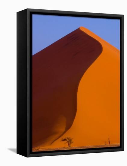 Tree and Soussevlei Sand Dune, Namibia-Joe Restuccia III-Framed Stretched Canvas