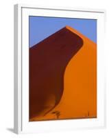 Tree and Soussevlei Sand Dune, Namibia-Joe Restuccia III-Framed Premium Photographic Print