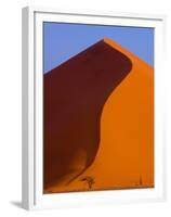 Tree and Soussevlei Sand Dune, Namibia-Joe Restuccia III-Framed Premium Photographic Print