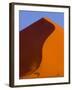 Tree and Soussevlei Sand Dune, Namibia-Joe Restuccia III-Framed Premium Photographic Print