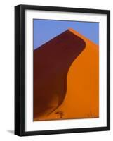 Tree and Soussevlei Sand Dune, Namibia-Joe Restuccia III-Framed Photographic Print