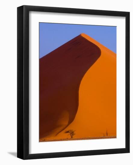 Tree and Soussevlei Sand Dune, Namibia-Joe Restuccia III-Framed Photographic Print