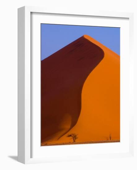 Tree and Soussevlei Sand Dune, Namibia-Joe Restuccia III-Framed Photographic Print