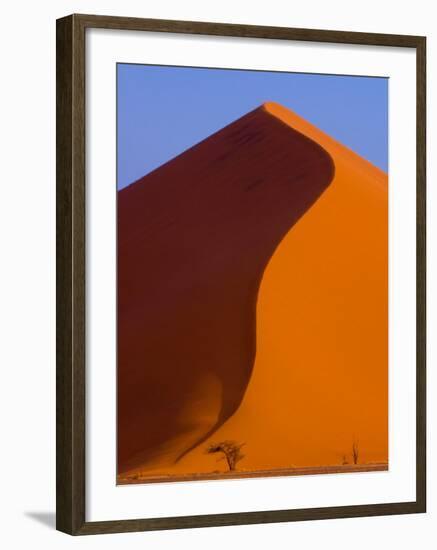 Tree and Soussevlei Sand Dune, Namibia-Joe Restuccia III-Framed Photographic Print