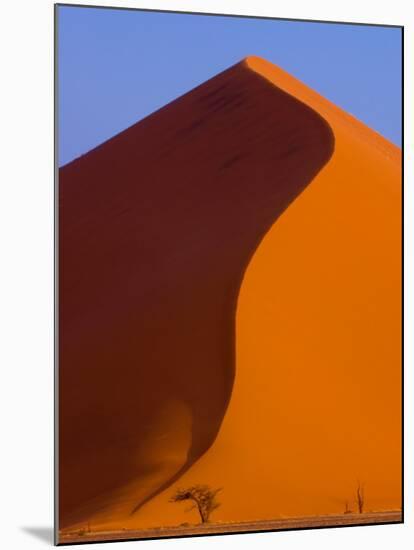 Tree and Soussevlei Sand Dune, Namibia-Joe Restuccia III-Mounted Photographic Print