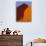 Tree and Soussevlei Sand Dune, Namibia-Joe Restuccia III-Photographic Print displayed on a wall